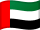 UAE Flag